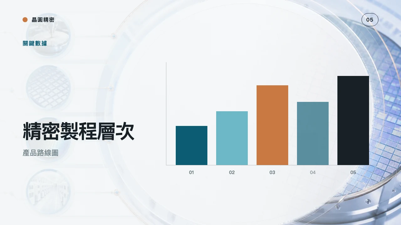 晶圓精密 第 6 頁