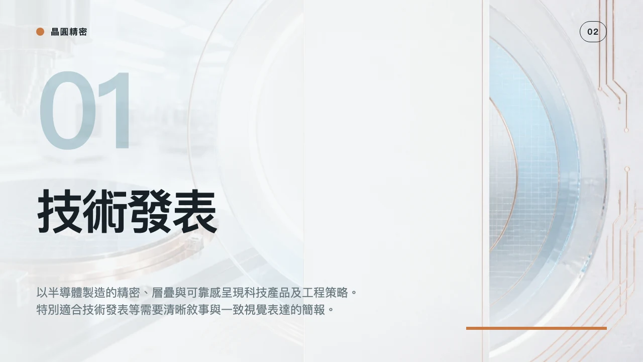 晶圓精密 第 3 頁