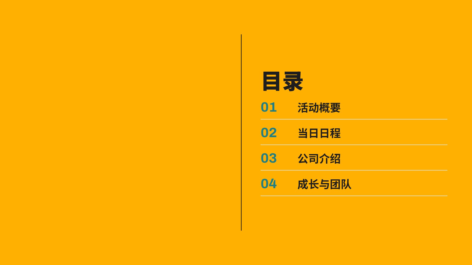 琥珀工程 第 3 页