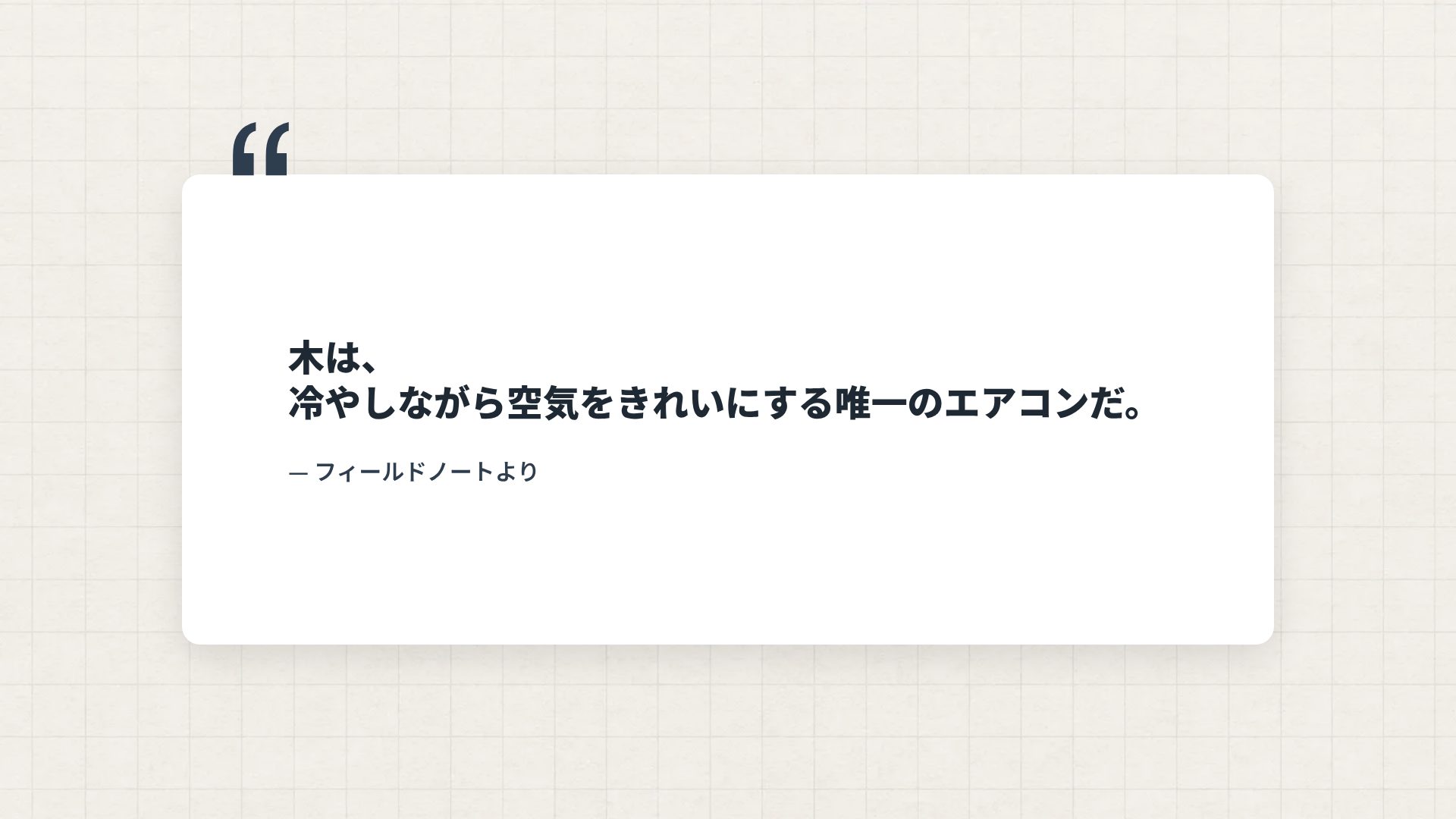 スタジオスケッチ スライド 11