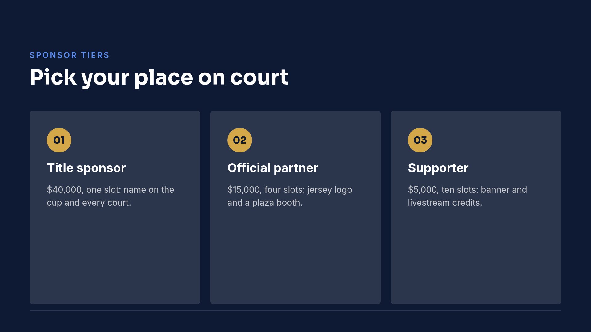 Arena Pitch slide 5