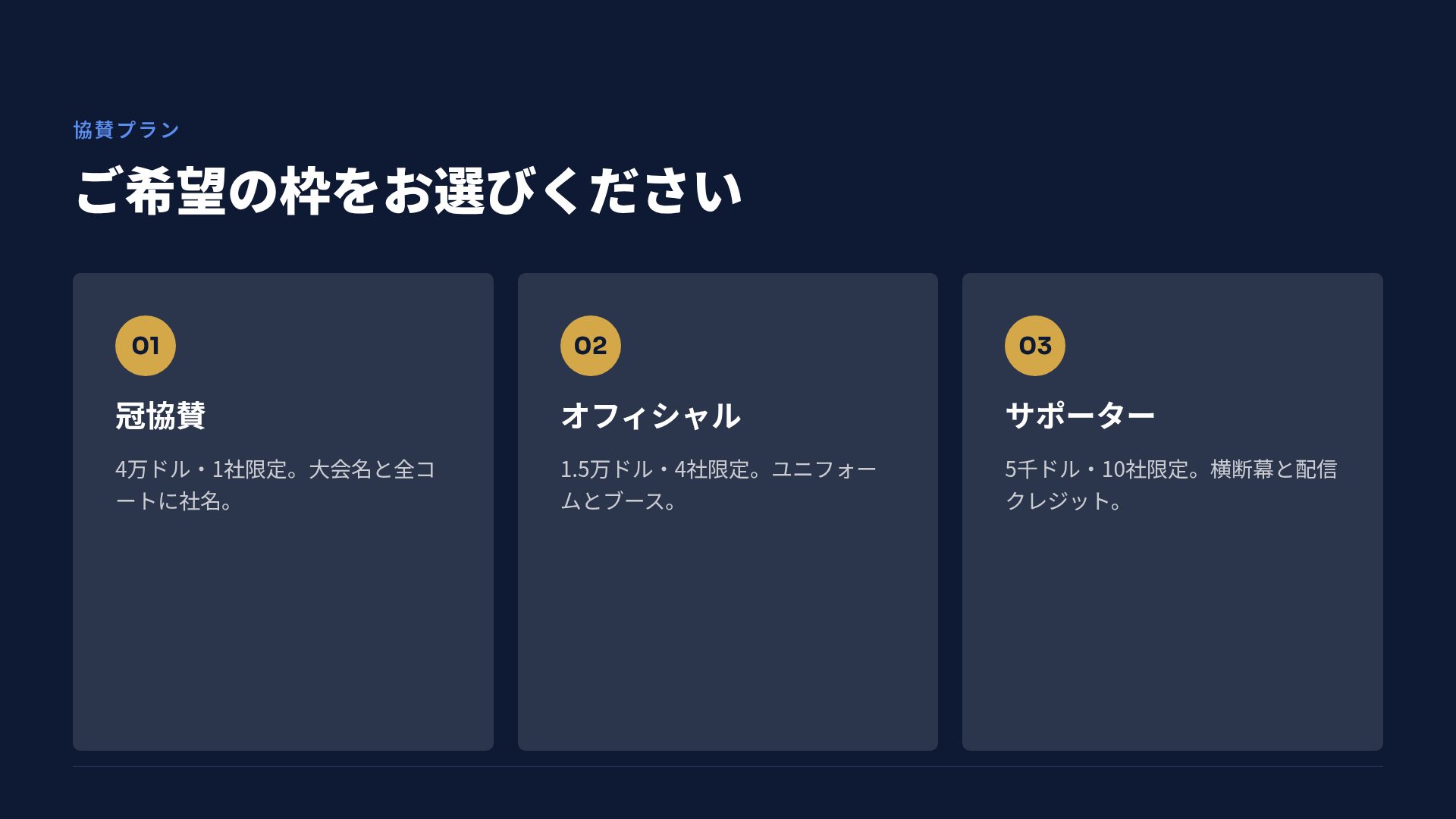 アリーナピッチ スライド 5