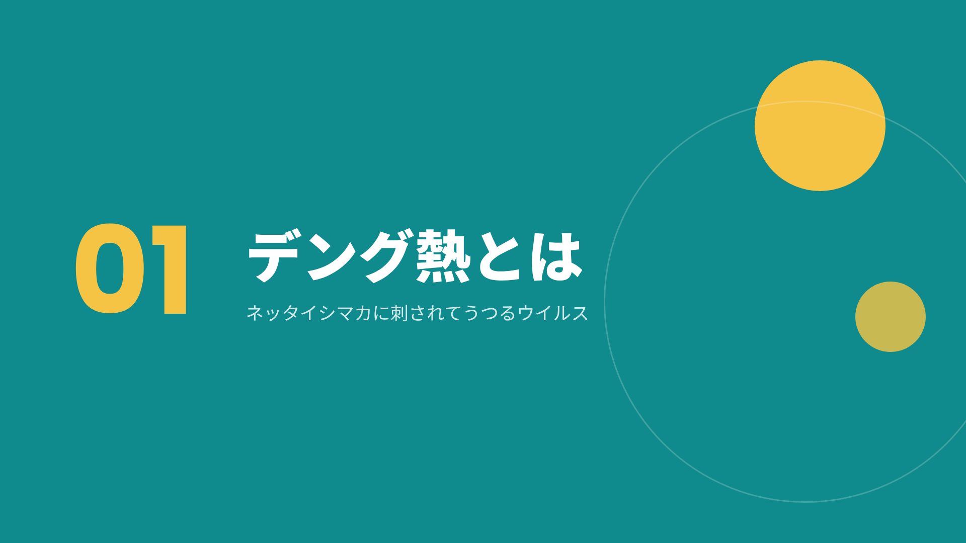 バリオヘルス スライド 4