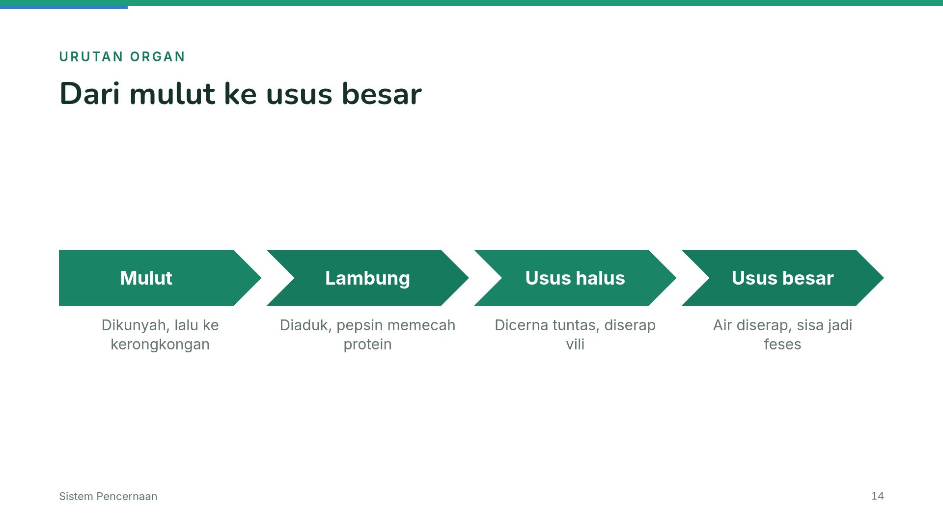 Batik Lesson slide 12