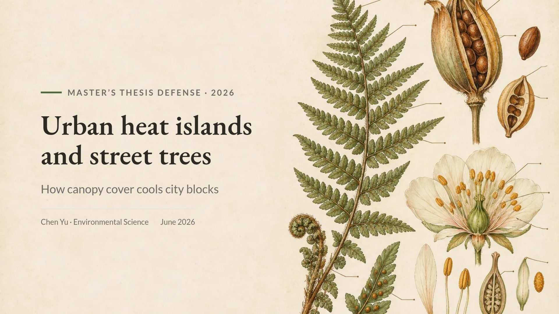 Botany Plate
