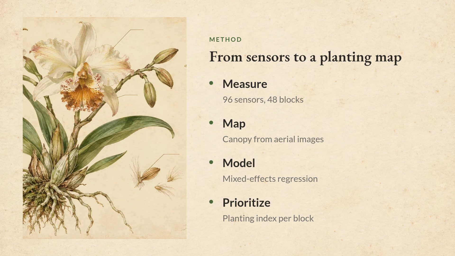 Botany Plate slide 6