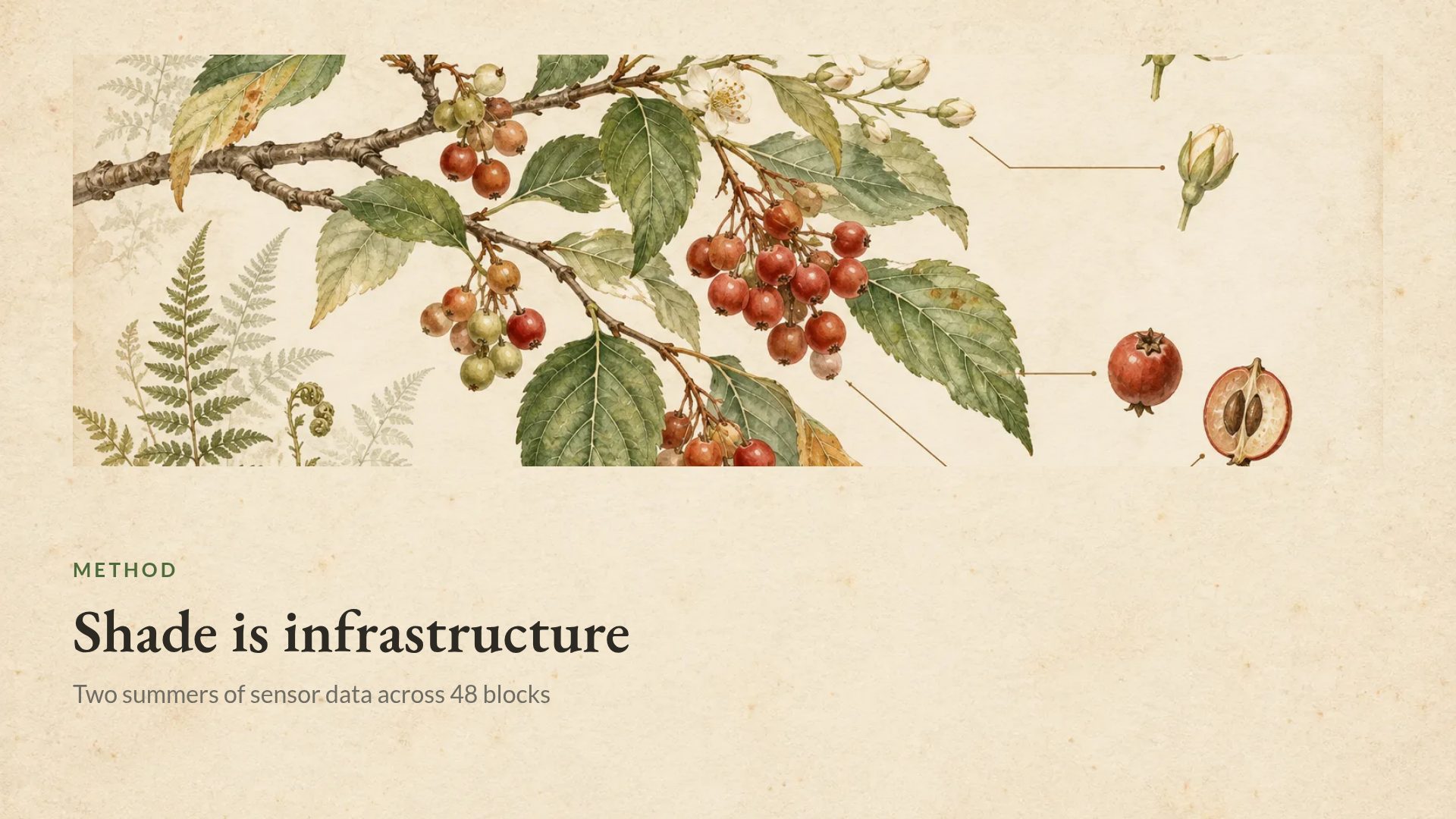 Botany Plate slide 7