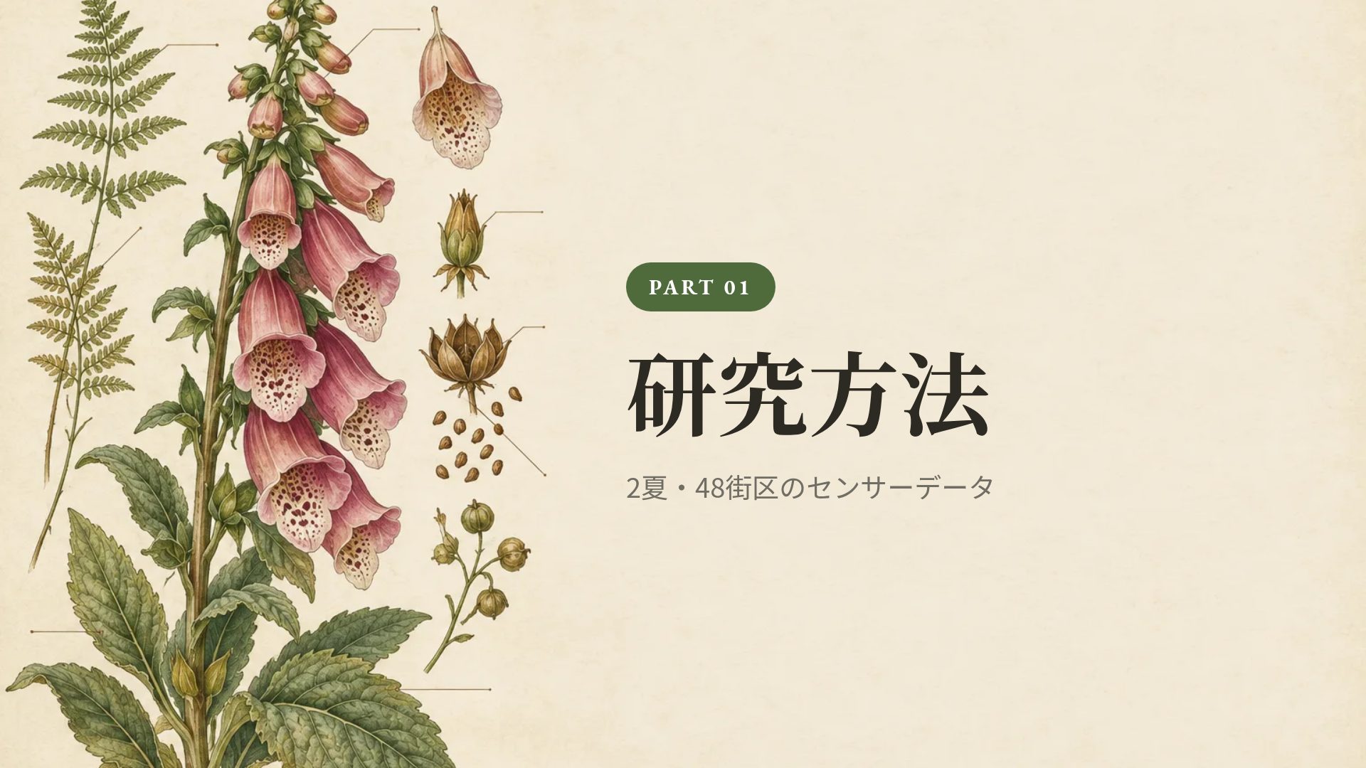 ボタニカル図譜 スライド 4