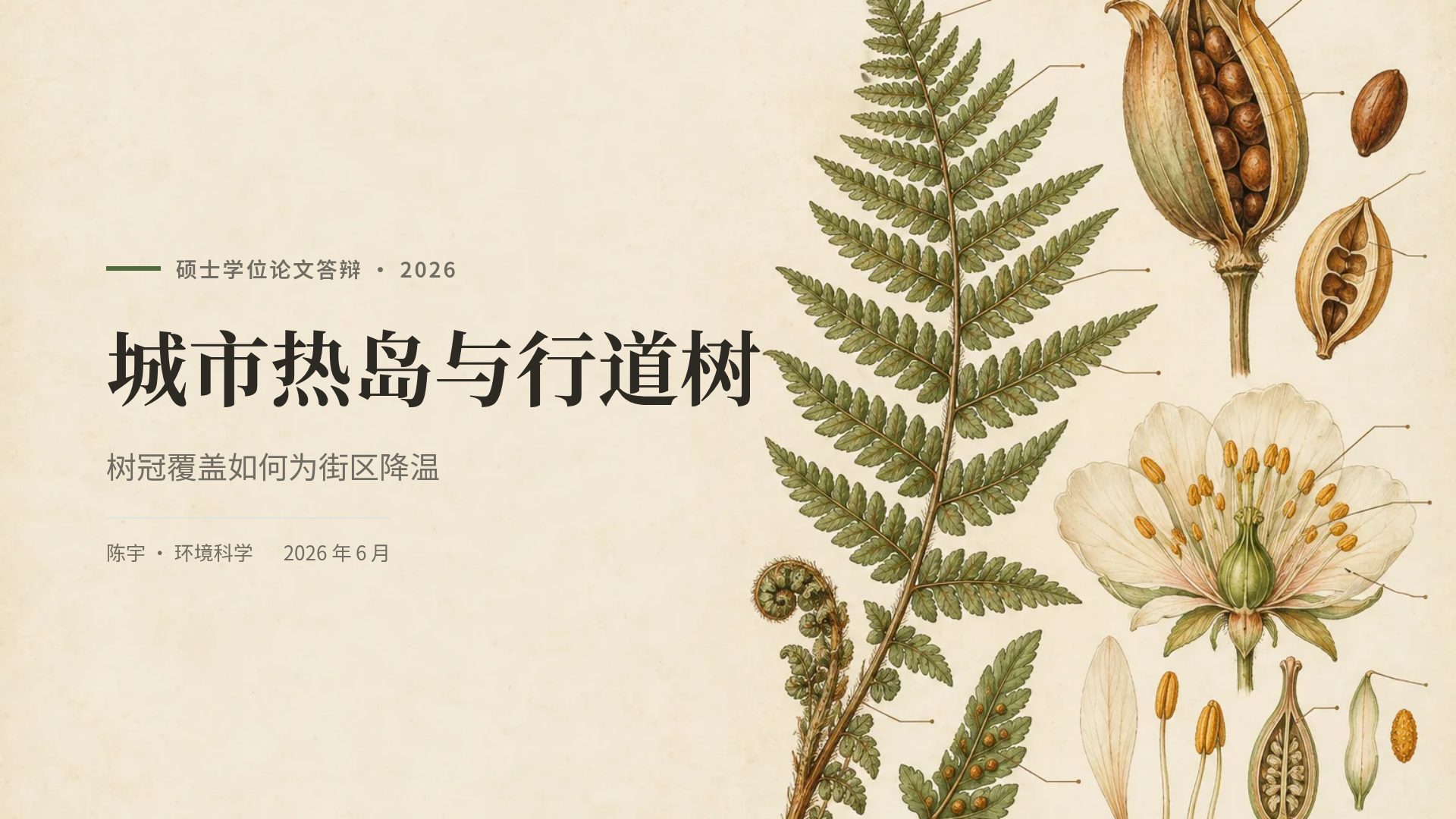植物图鉴