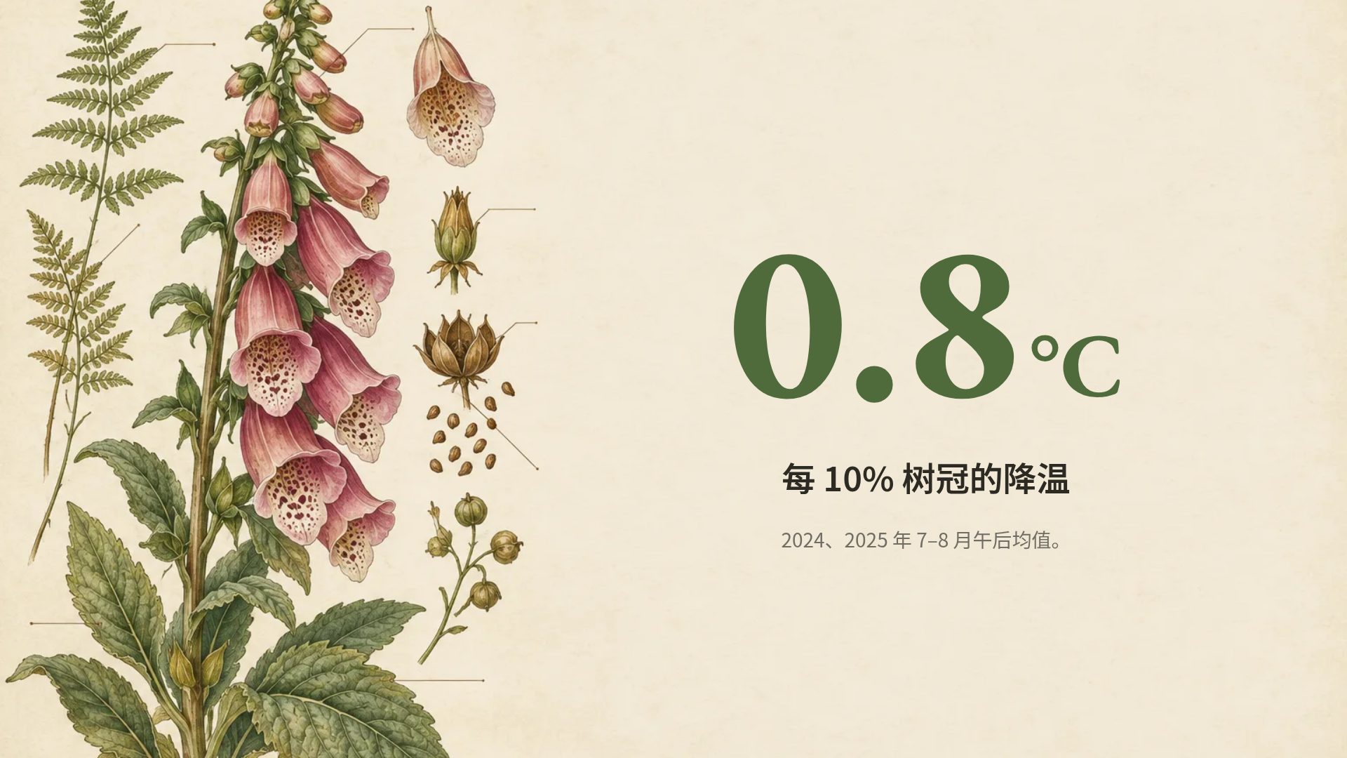 植物图鉴 第 10 页