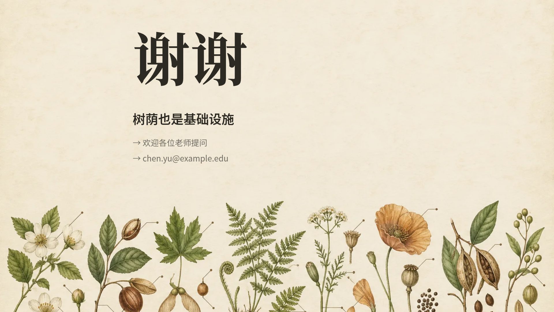 植物图鉴 第 18 页