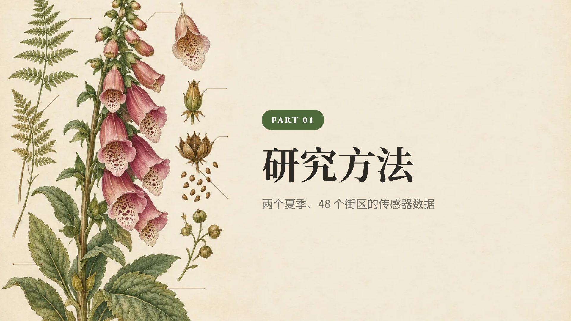 植物图鉴 第 4 页