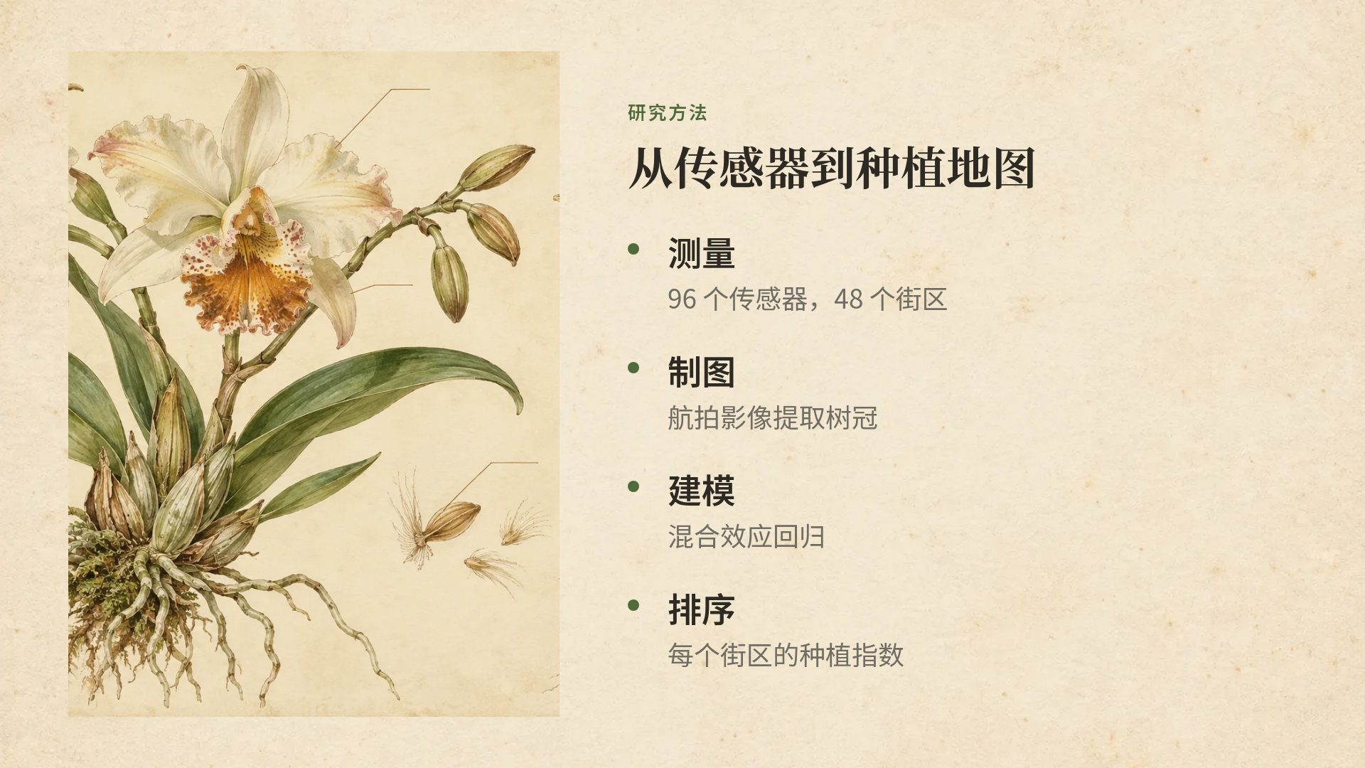 植物图鉴 第 6 页
