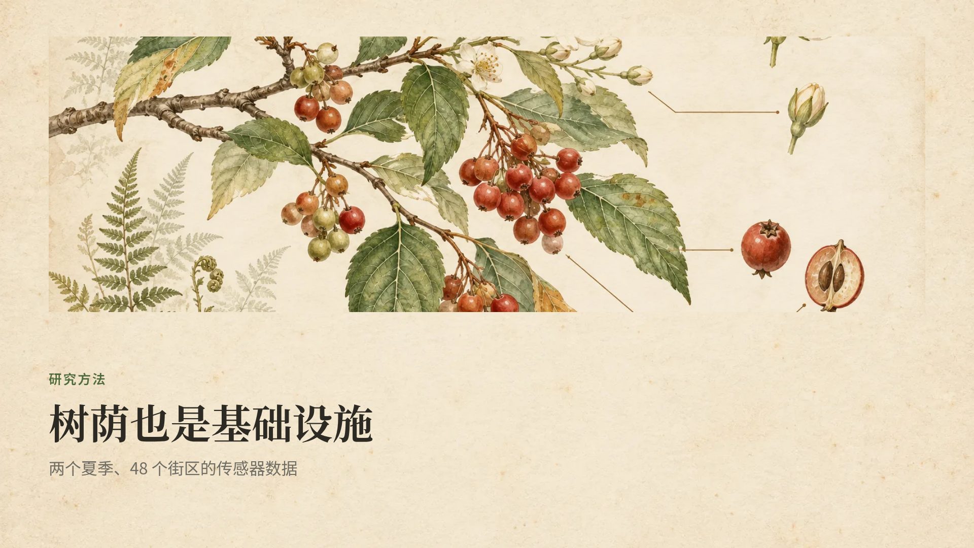 植物图鉴 第 7 页