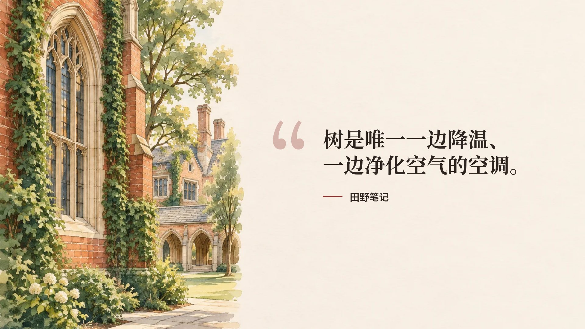 红砖校园 第 11 页