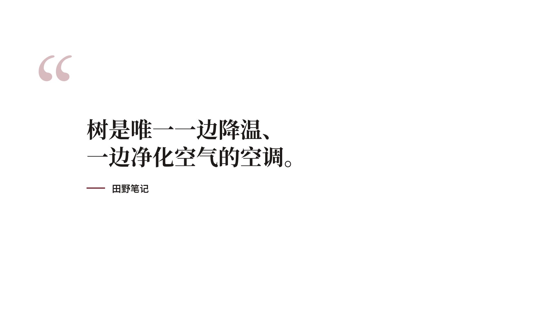 高校答辩 第 11 页