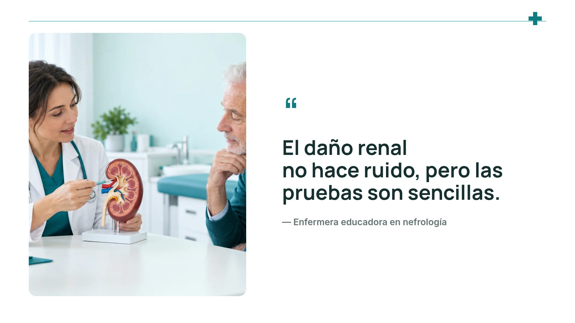 Línea Clínica, diapositiva 11