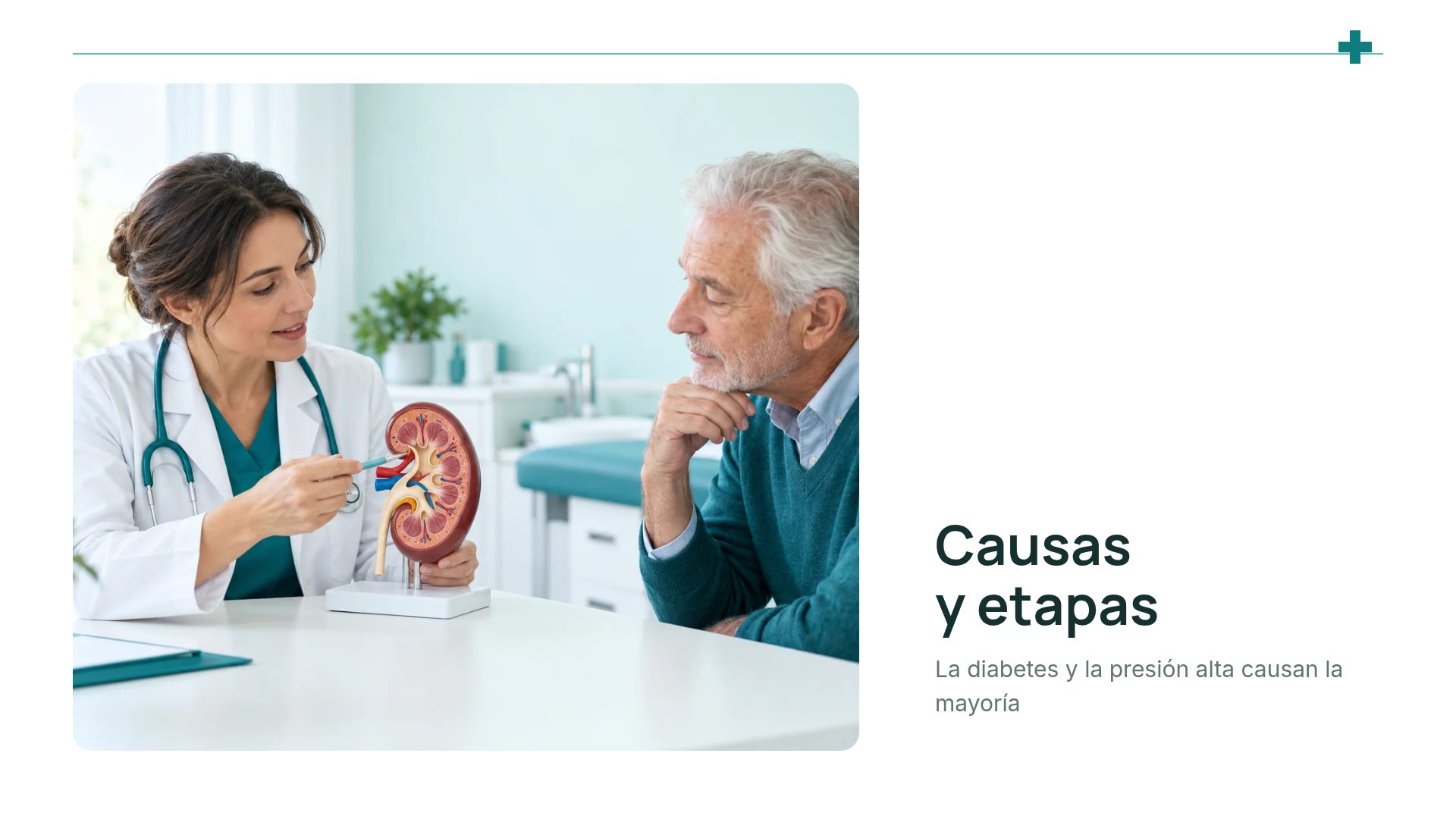Línea Clínica, diapositiva 13