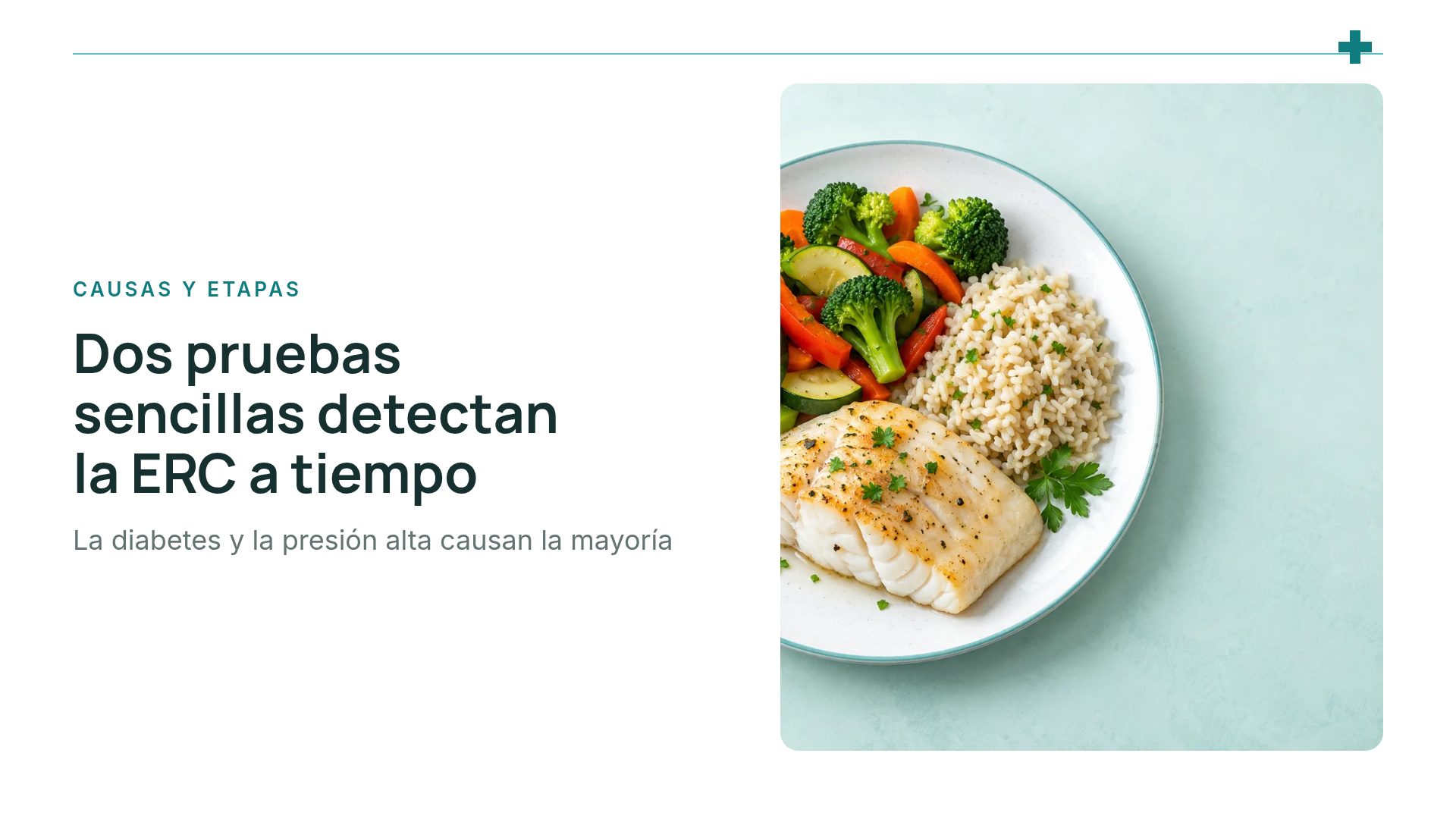 Línea Clínica, diapositiva 7