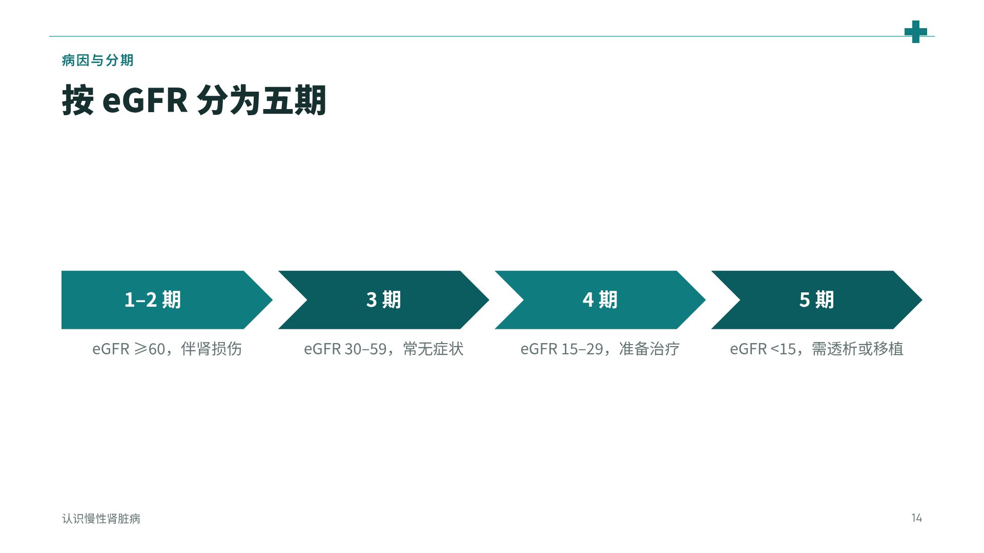 临床线描 第 12 页