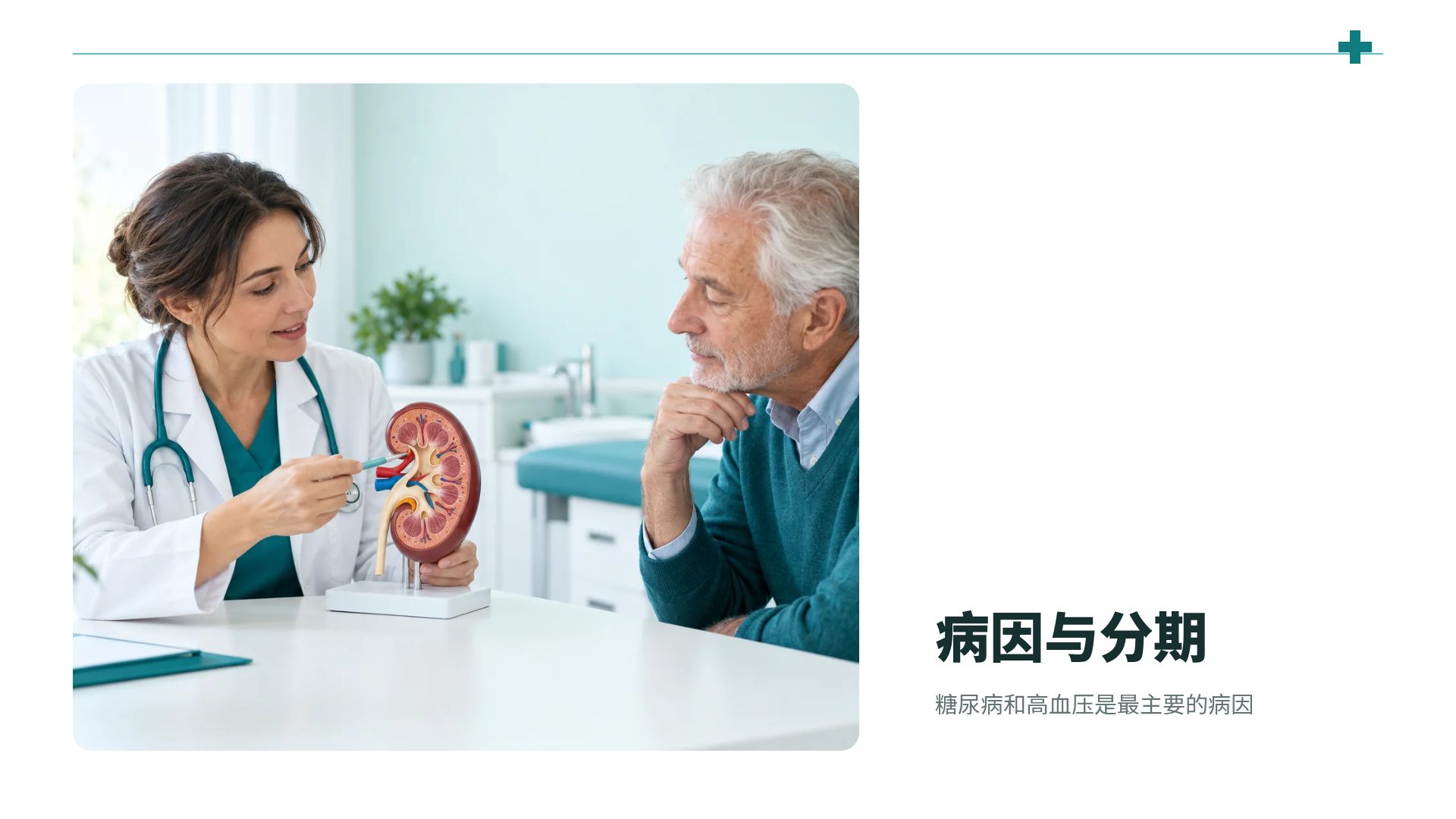临床线描 第 13 页
