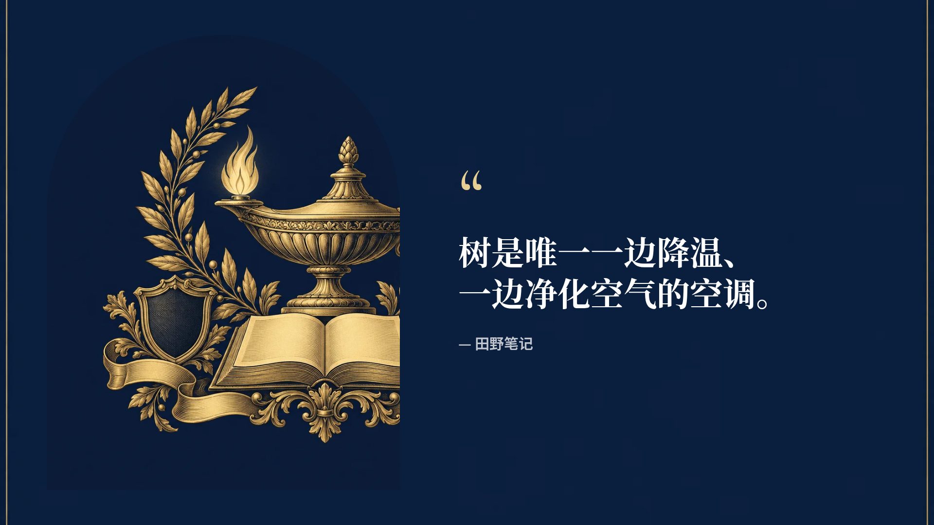 学院纹章 第 11 页