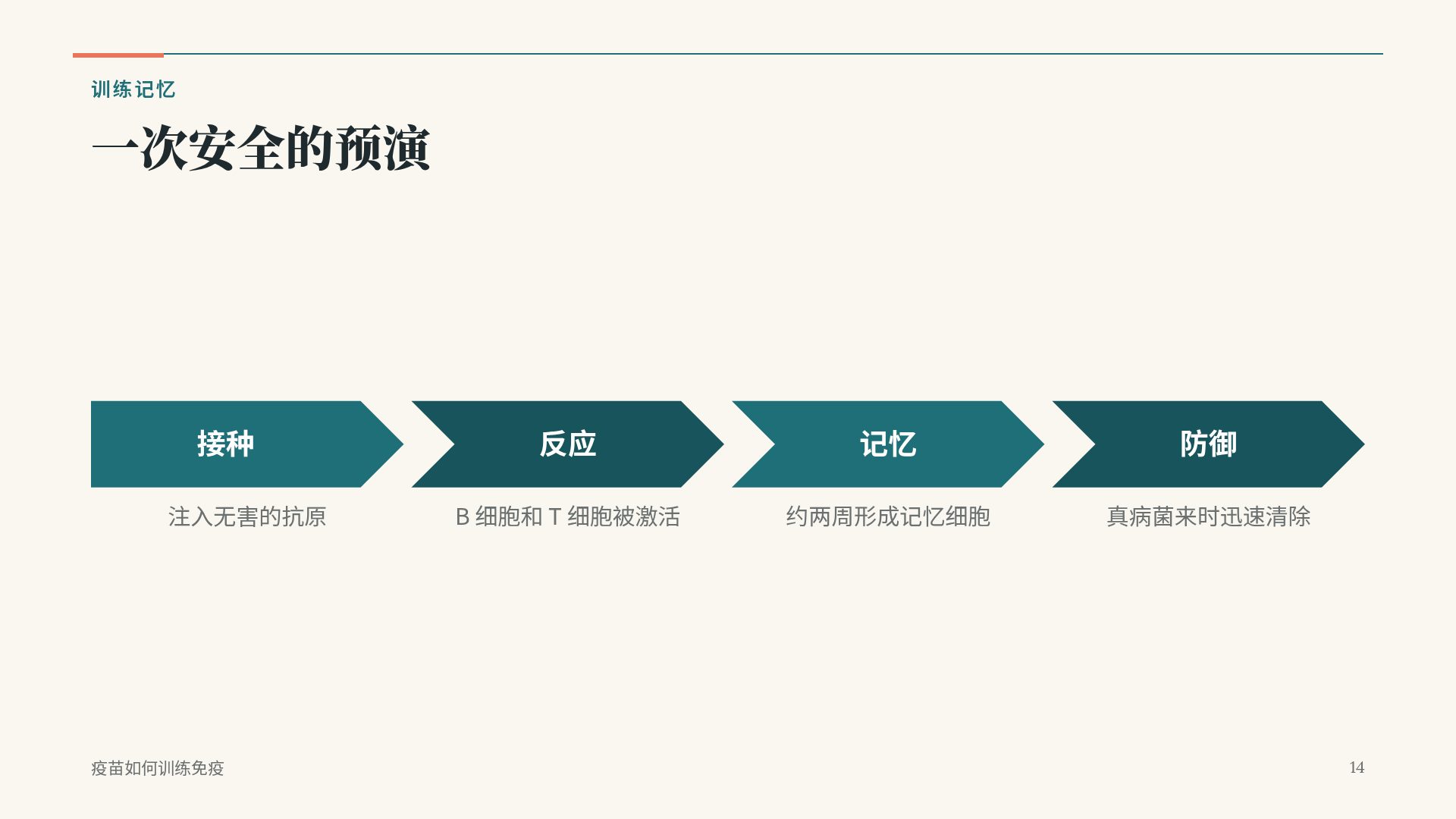概念卡片 第 12 页