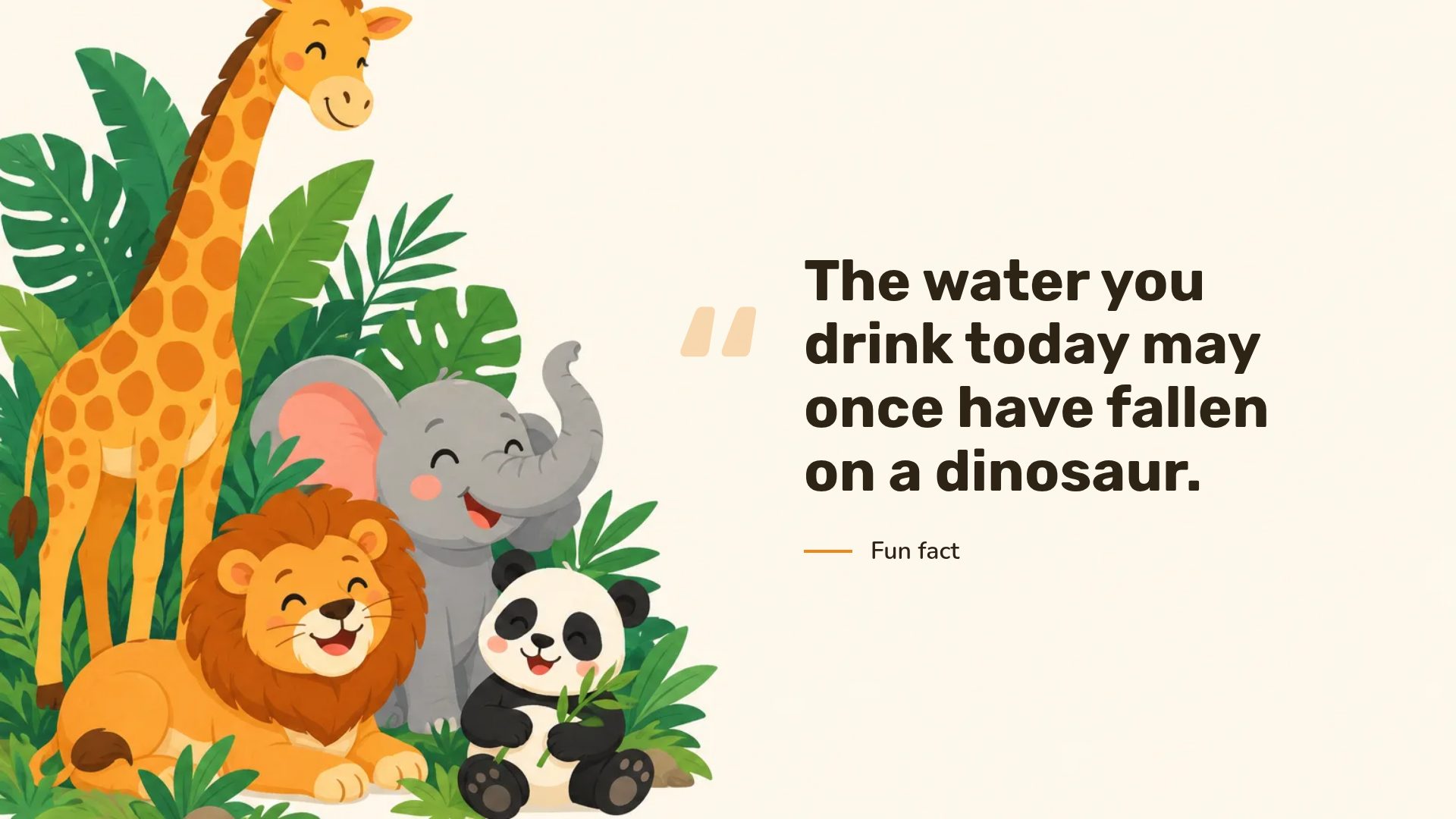 Cute Zoo slide 11
