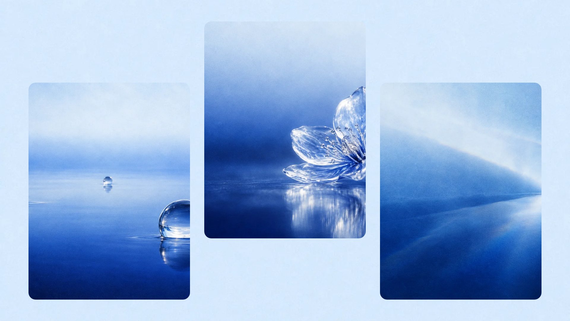 Cyan Butterfly slide 14