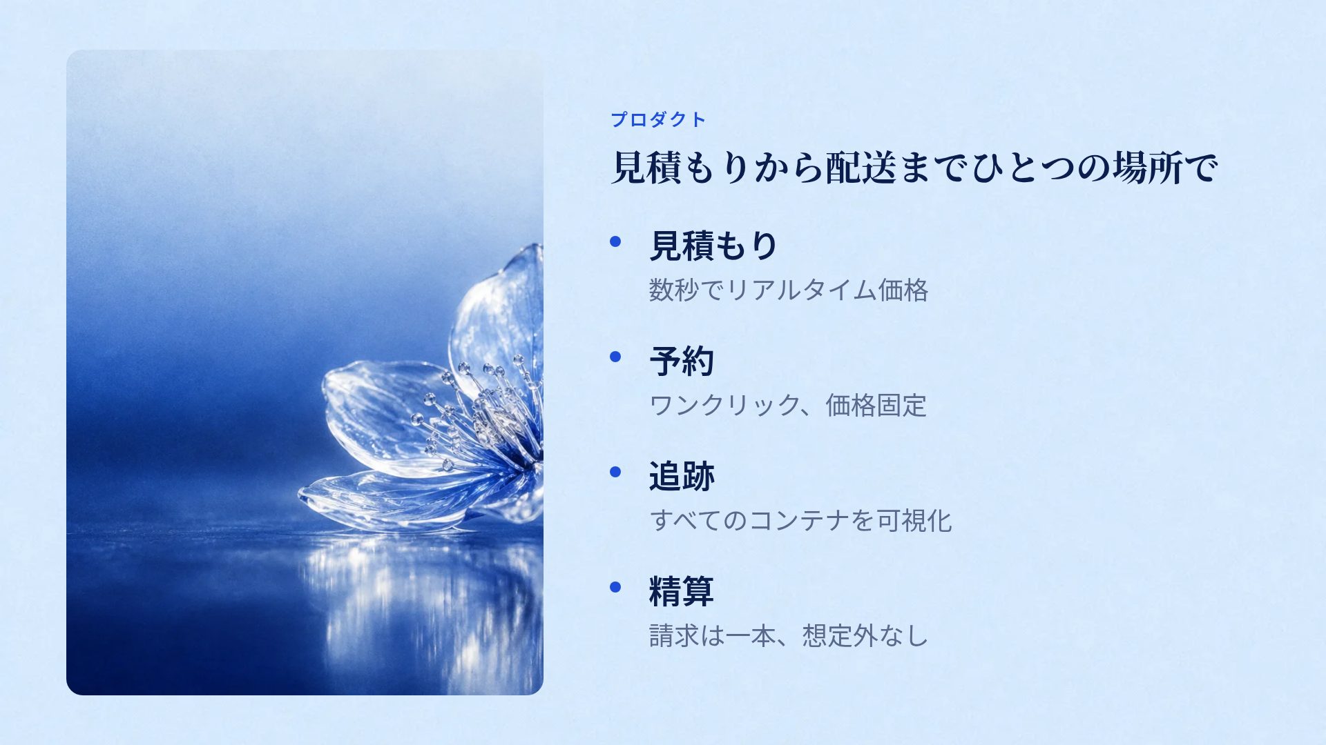 シアンバタフライ スライド 6