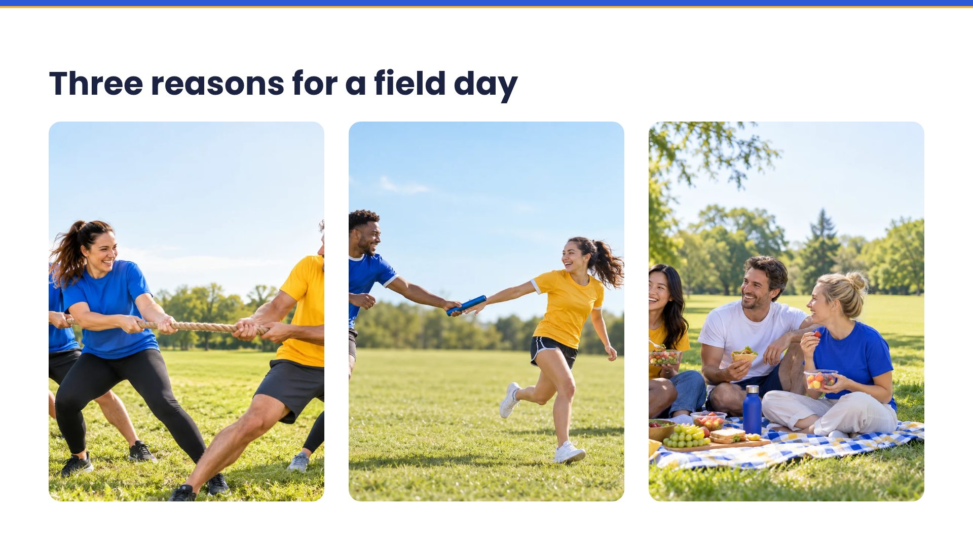 Field Flags slide 14