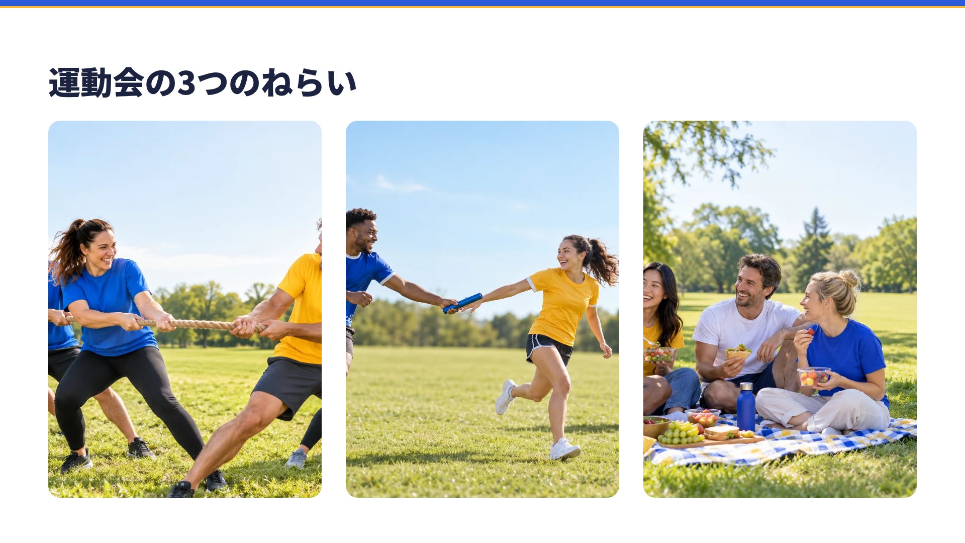 フィールドフラッグ スライド 14