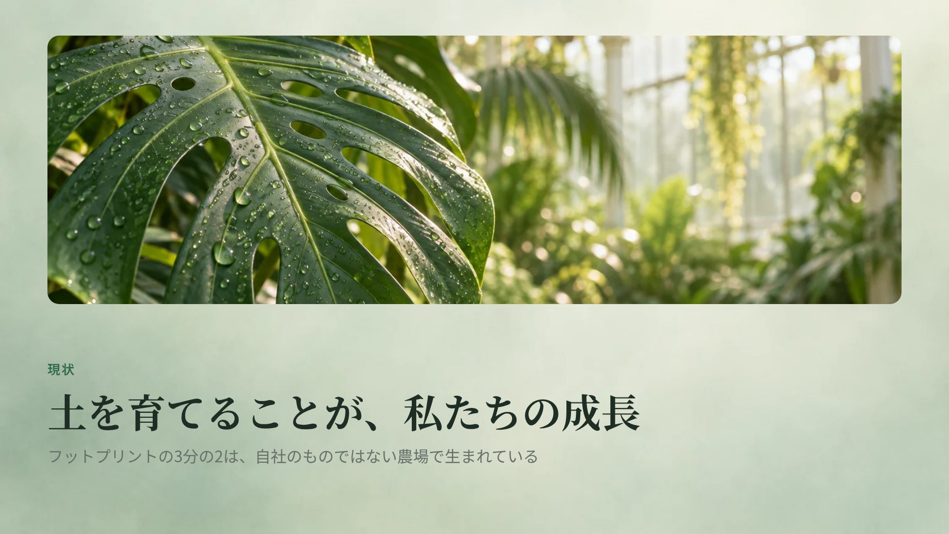 グラスハウス スライド 7