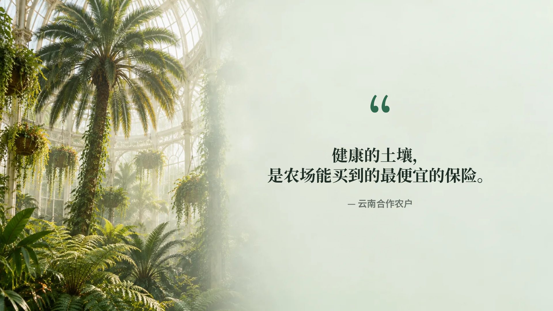 植物温室 第 11 页