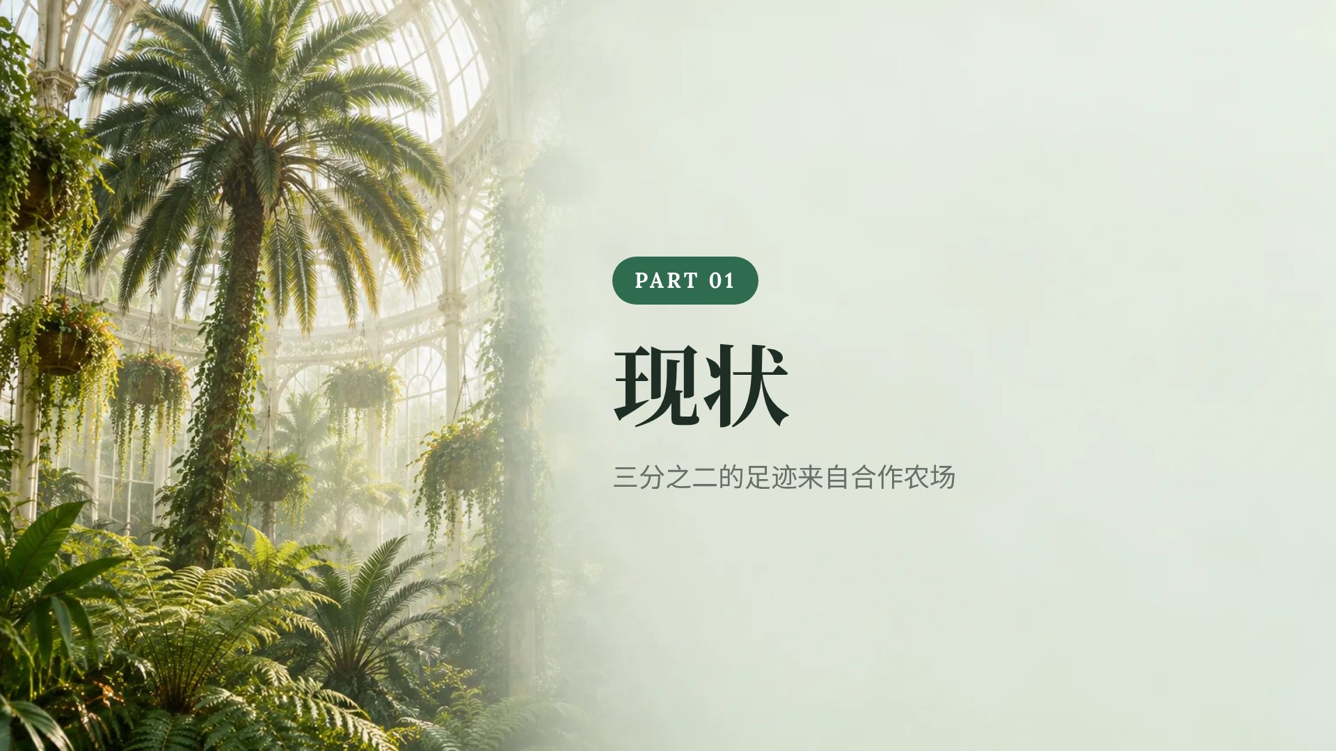 植物温室 第 4 页
