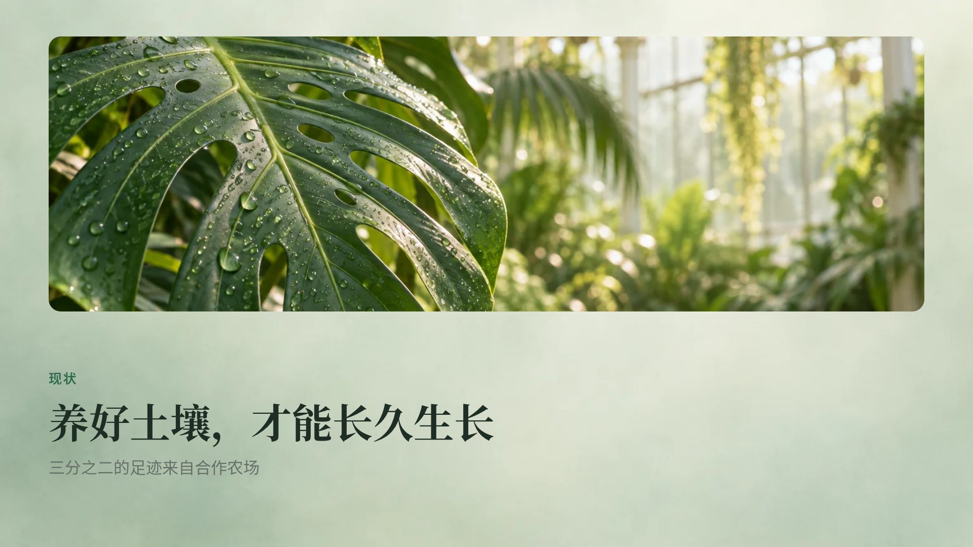 植物温室 第 7 页