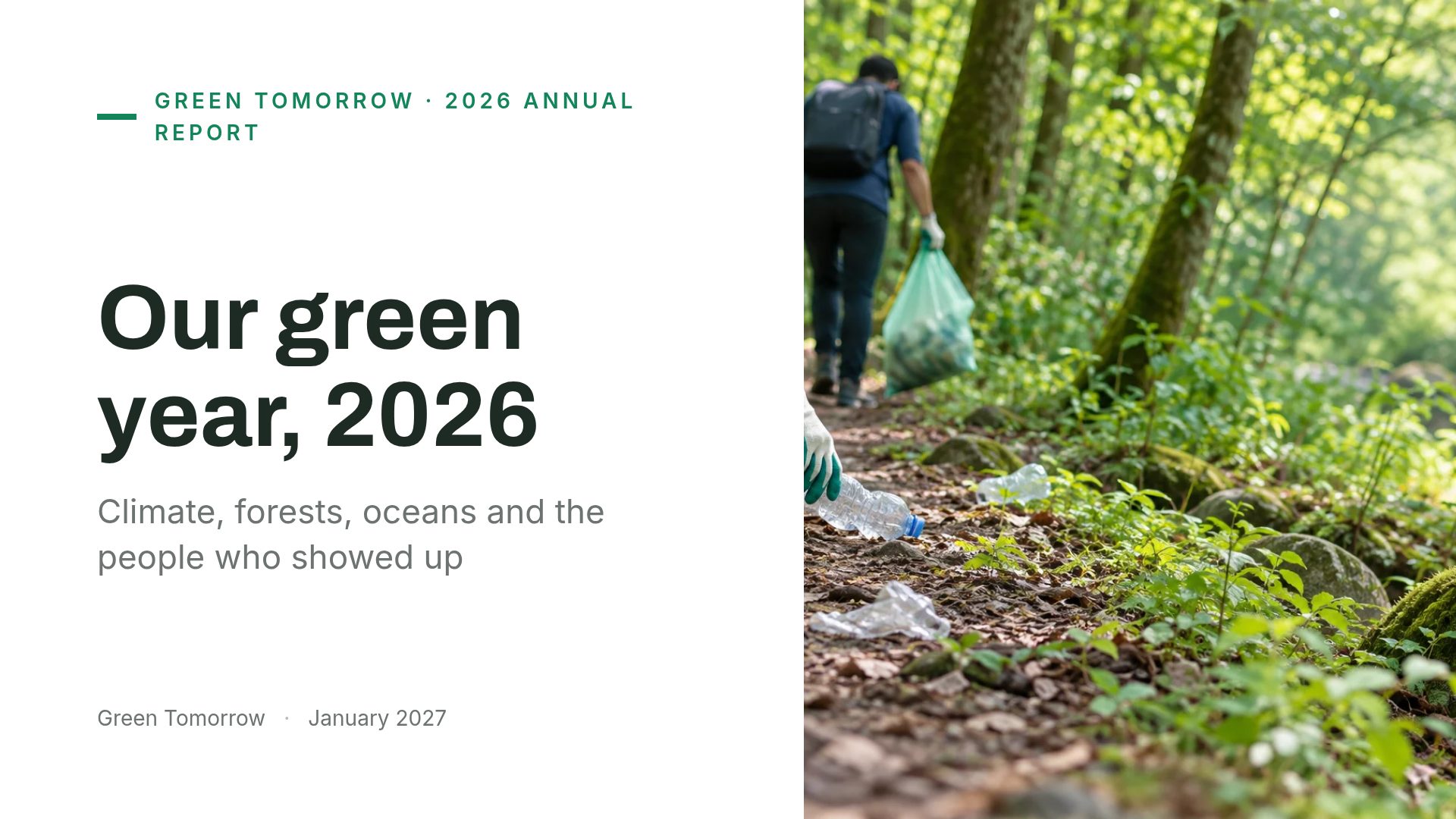 Green Campaign slide 2