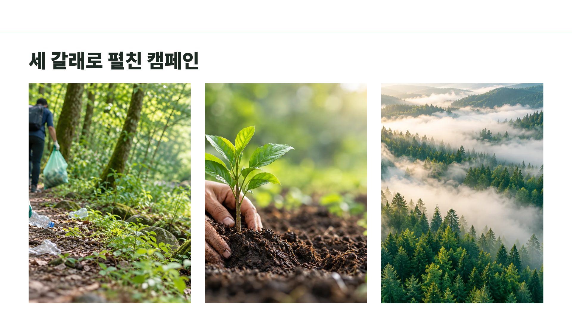 그린 캠페인 14번째 슬라이드