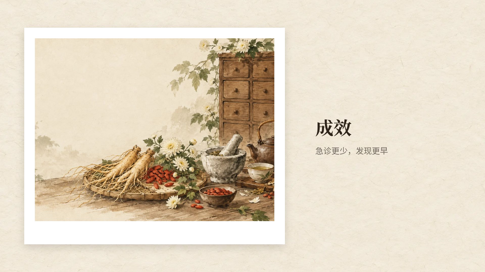 中医本草 第 13 页