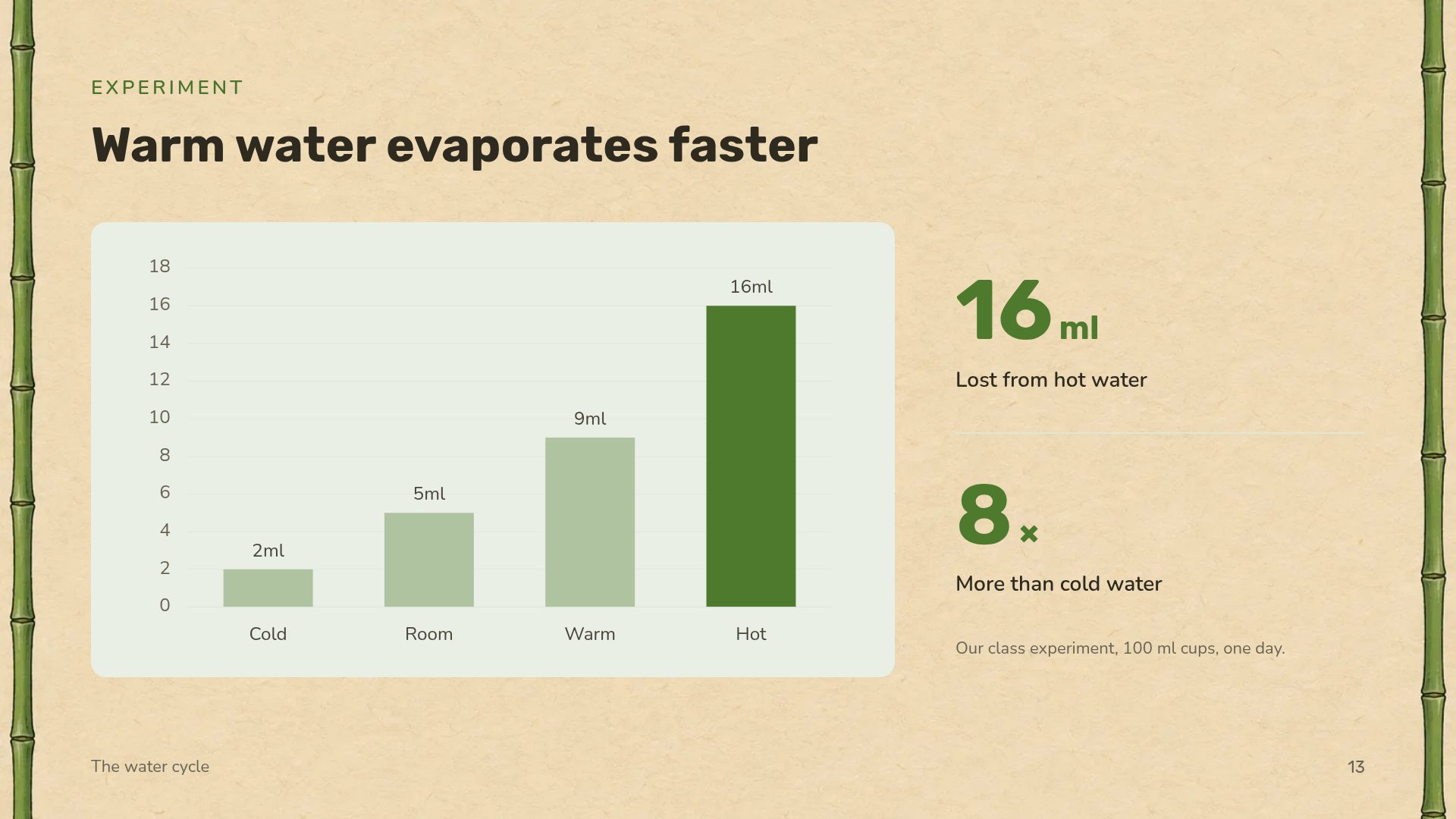 Jungle Explorer slide 16