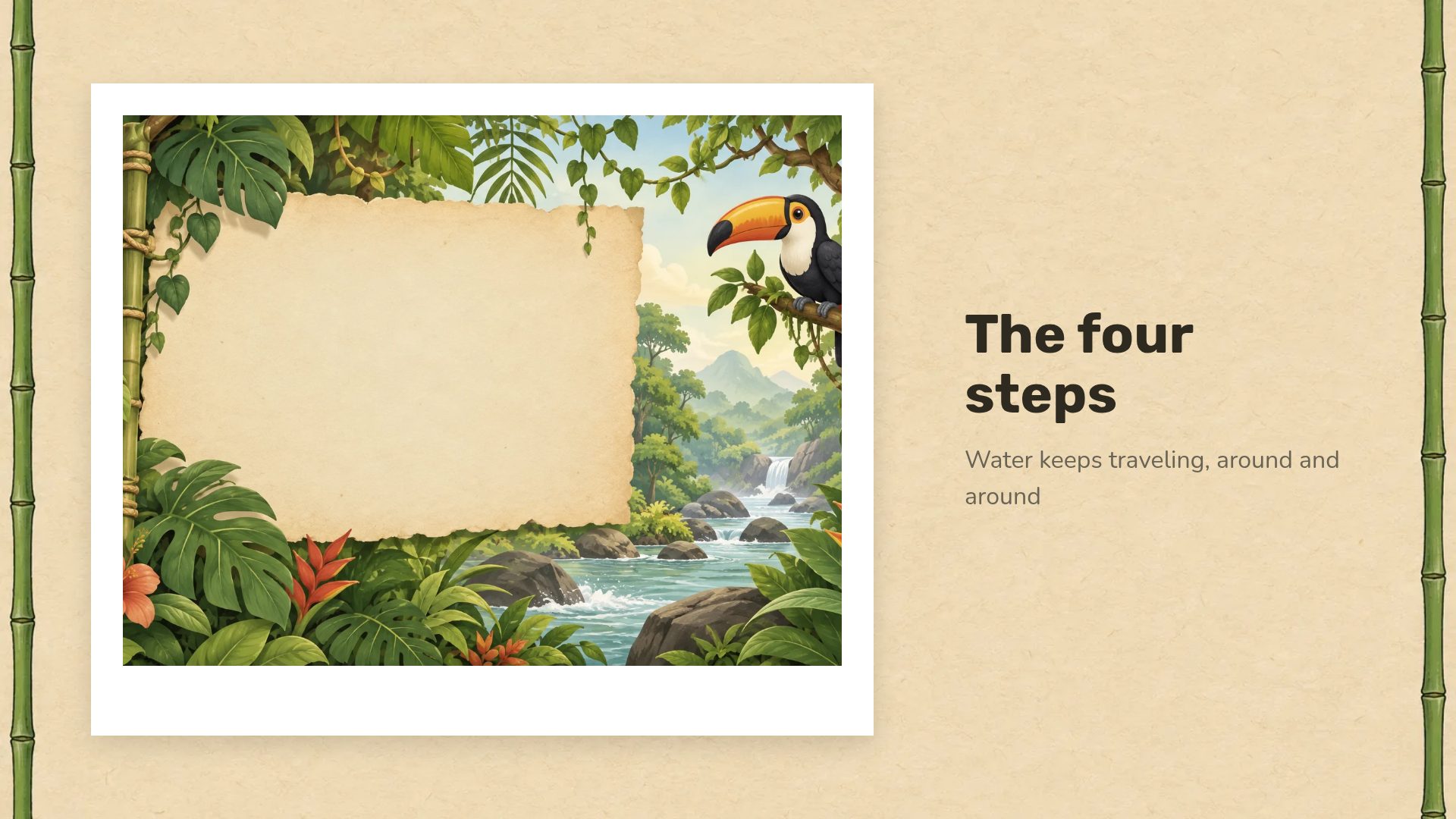 Jungle Explorer slide 13