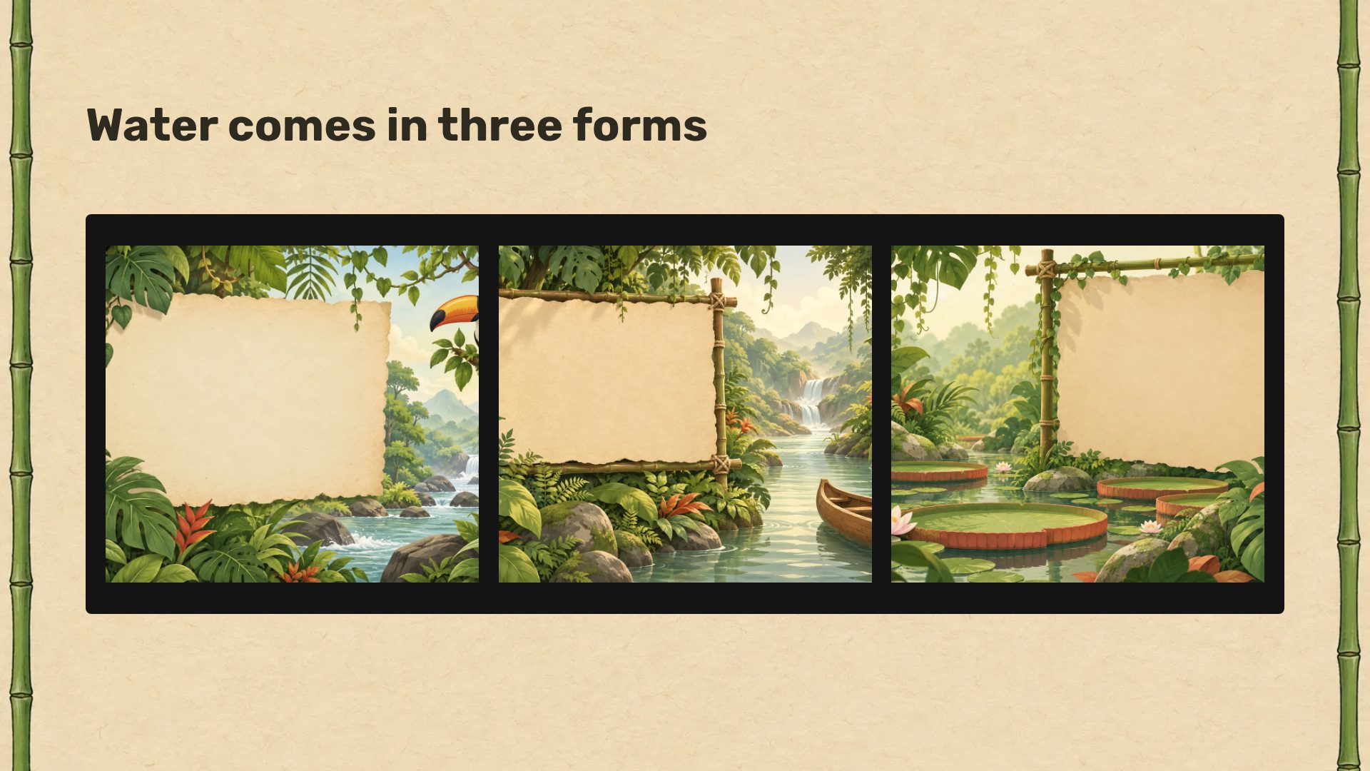 Jungle Explorer slide 14