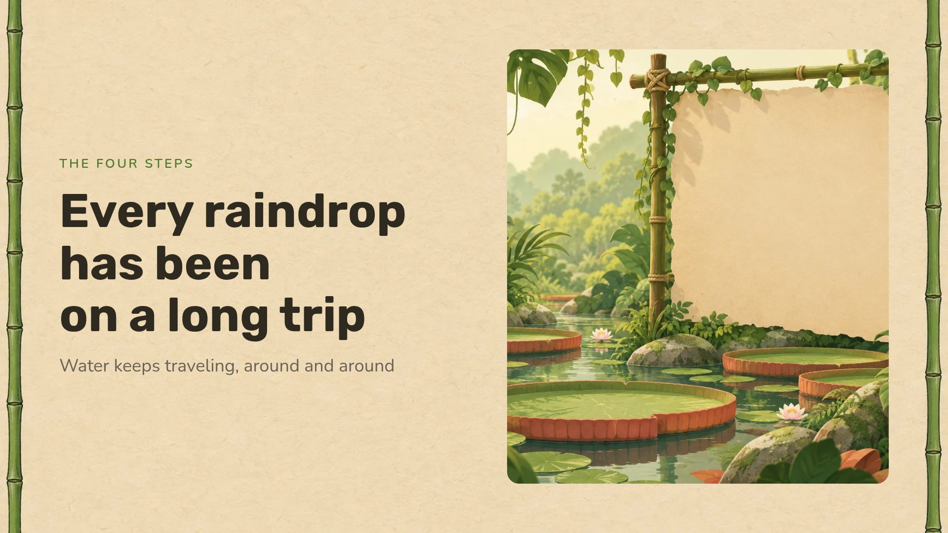 Jungle Explorer slide 7