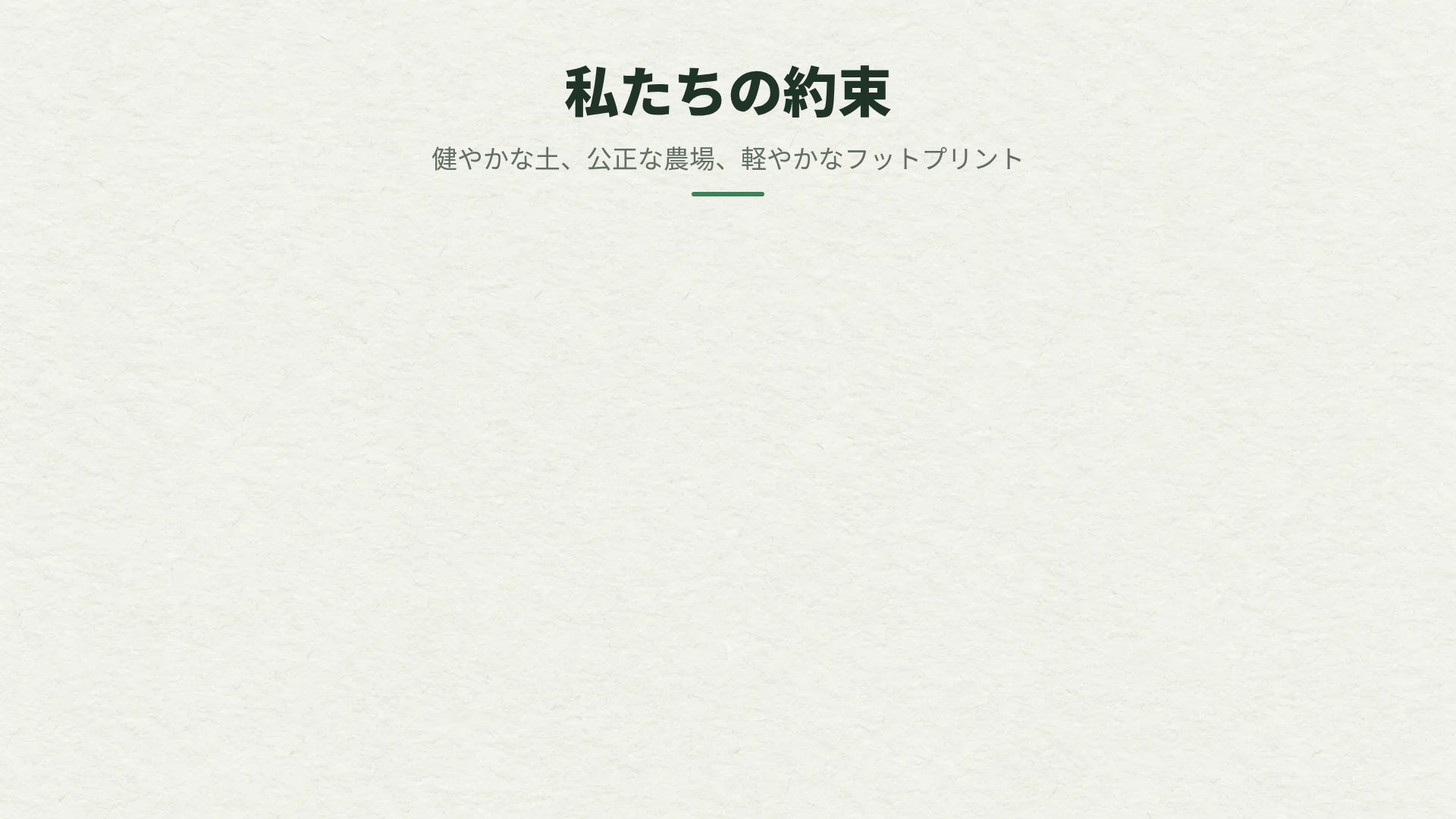 レイヤードペーパー スライド 15