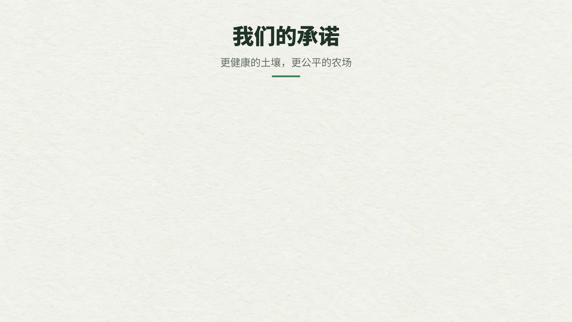 层叠纸雕 第 15 页