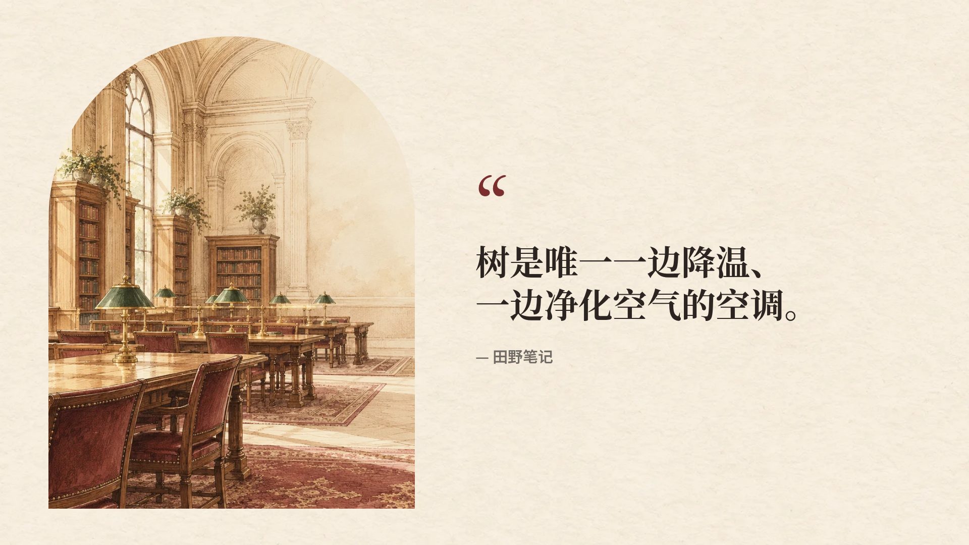 文科答辩 第 11 页