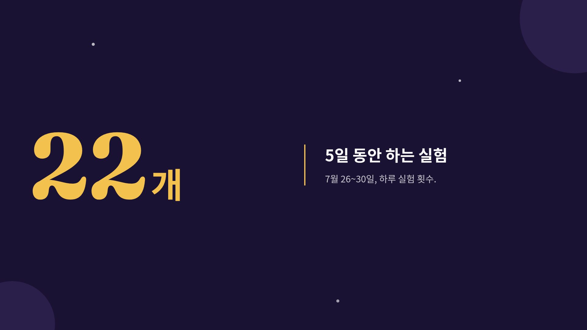 매직 캣 10번째 슬라이드