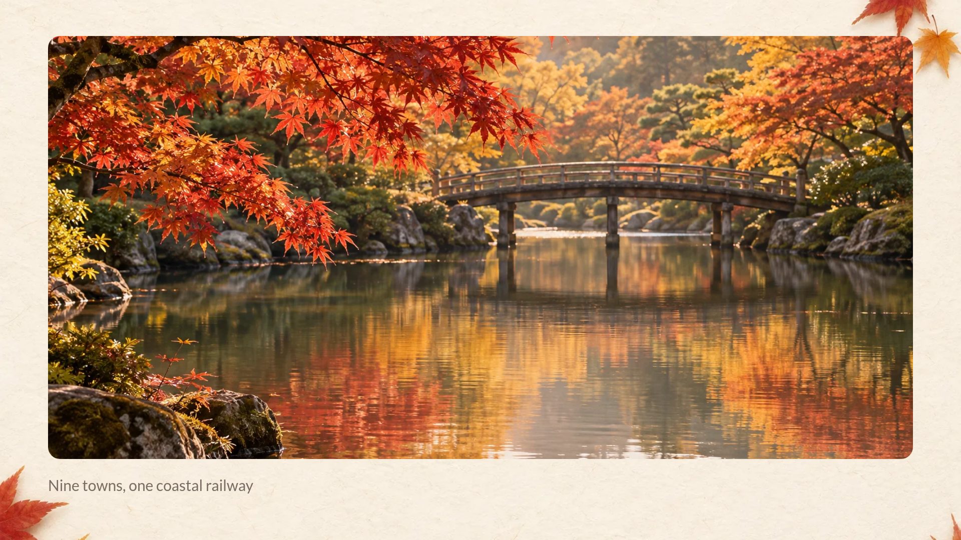 Momiji slide 13