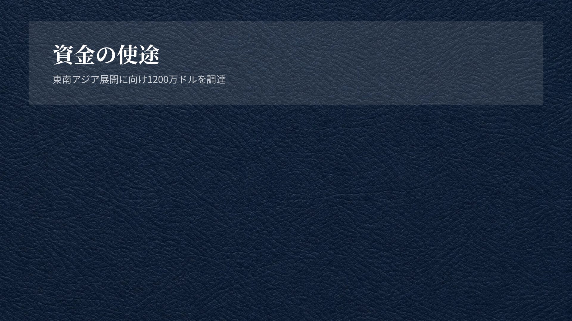 ネイビーレザー スライド 15