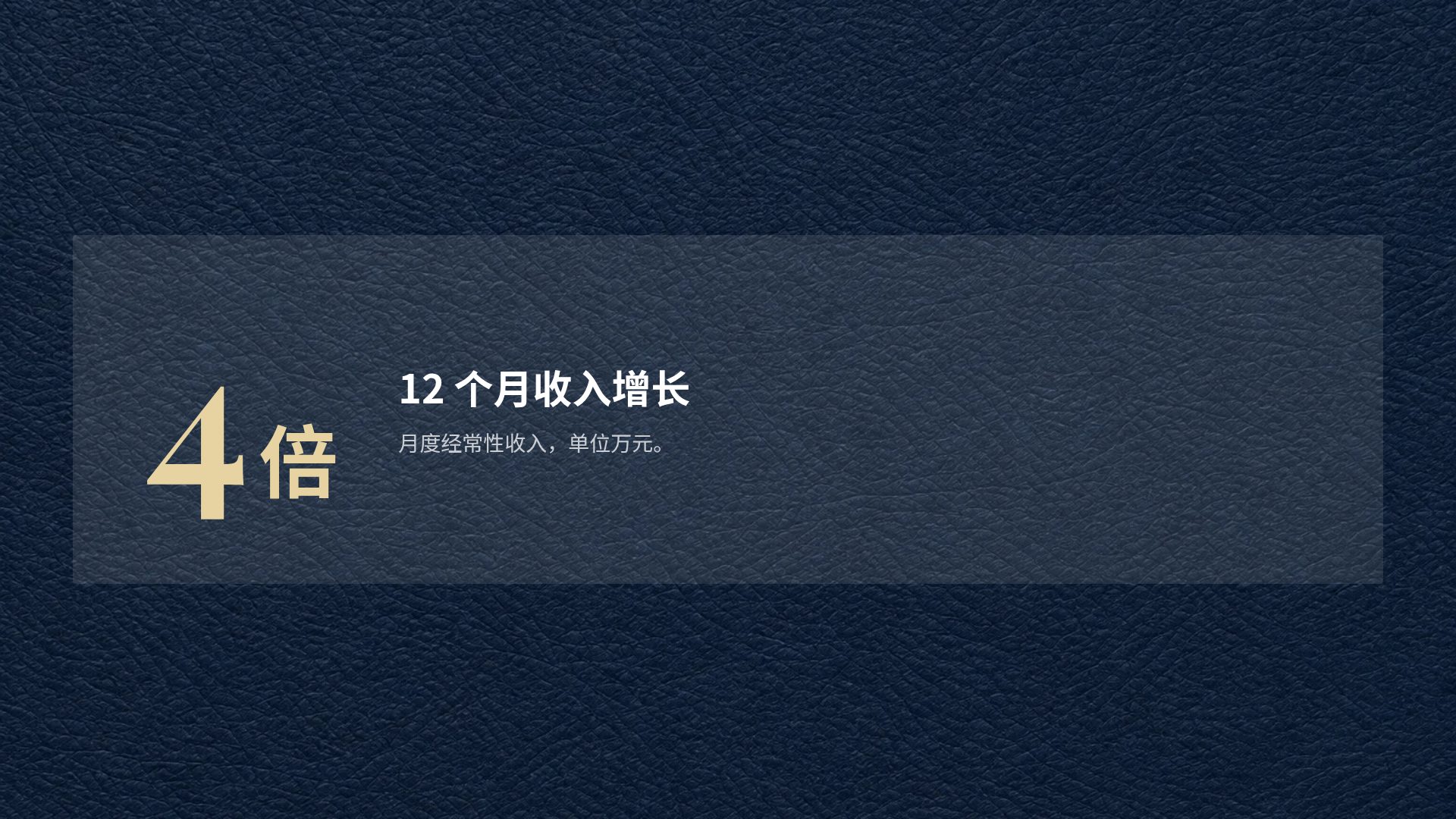 海军蓝皮革 第 10 页